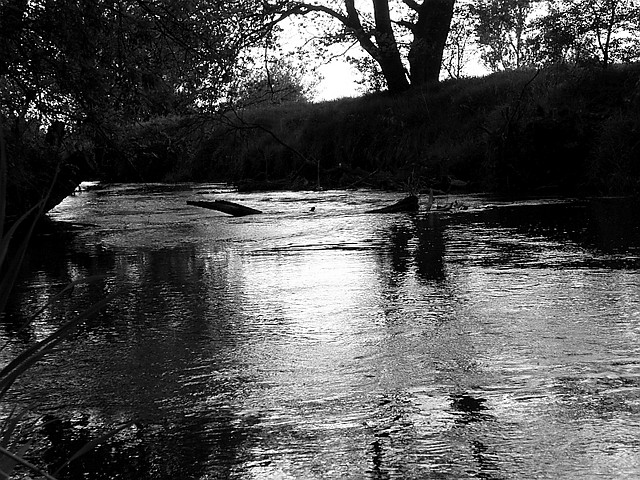 River of tears...