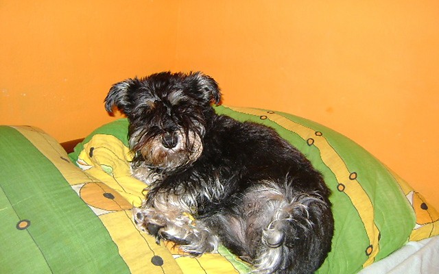 MaJa!!!