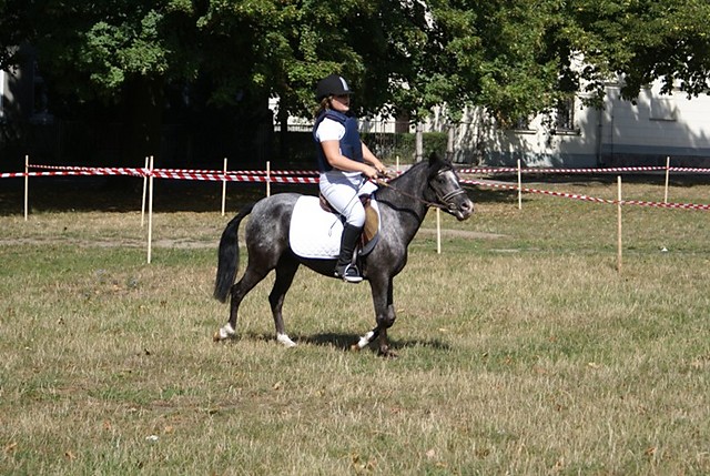 Nudy