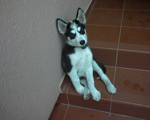 Luna