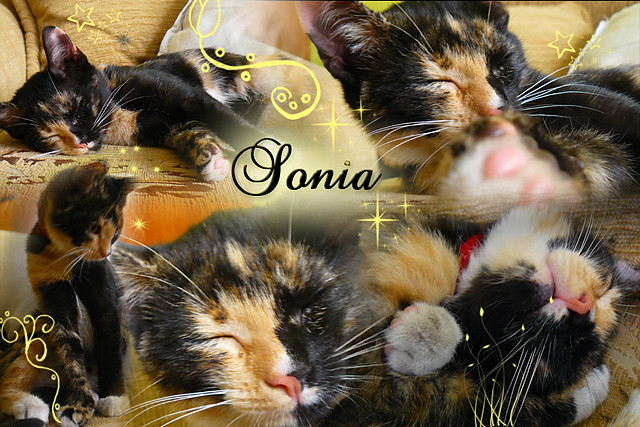 Sonia;)