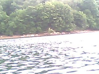 solina