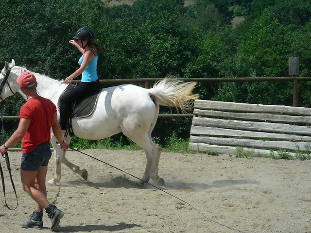 P. Janusz!:D