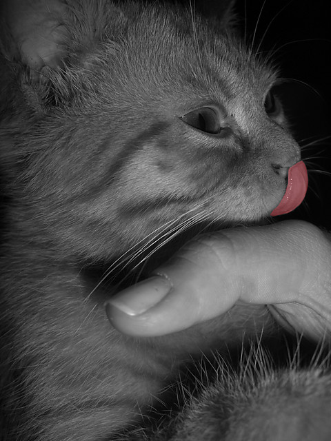 :P