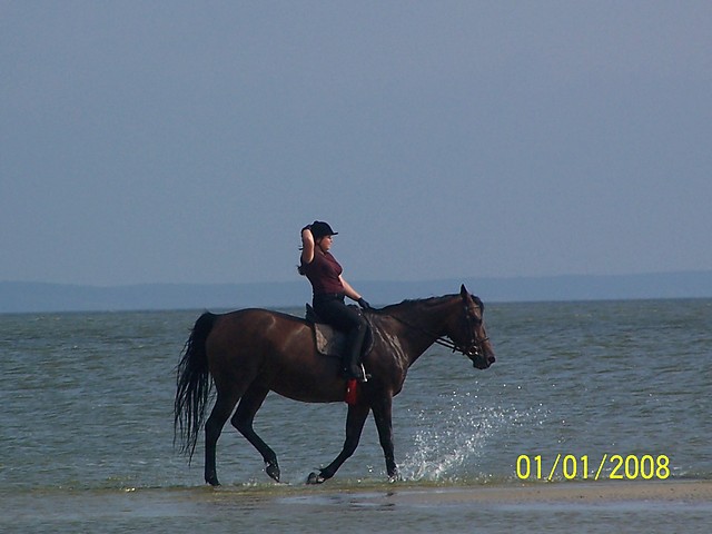 Galop po plazy