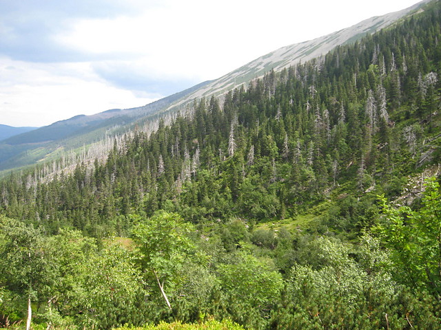karkonosze 08