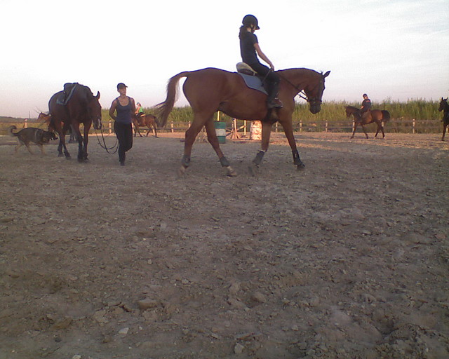 ja&Bramin