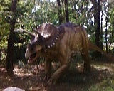 Dino