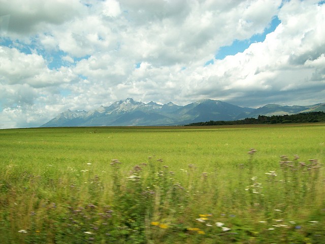 10.