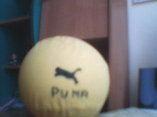 Prawie jak PUMA