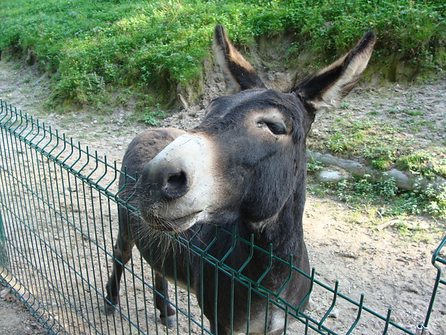 ;P