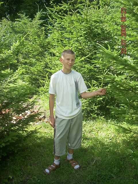 ;*