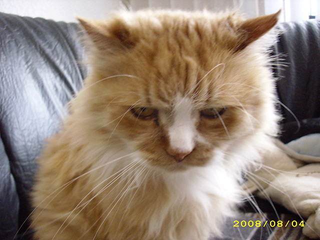 Rudy