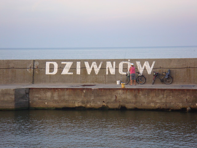 Dziwnw 2008