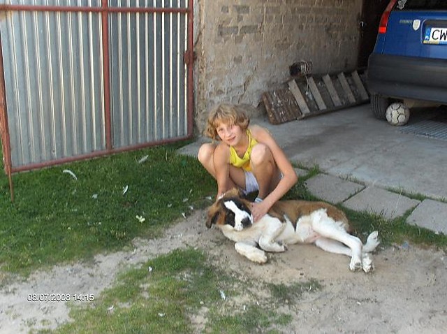 ellcio