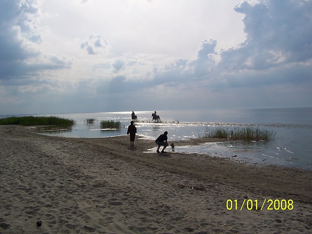 Galop po play