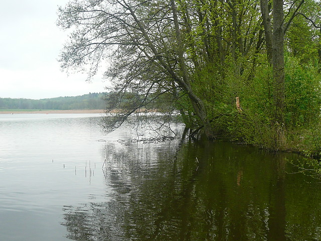Zdjcie po prostu (;