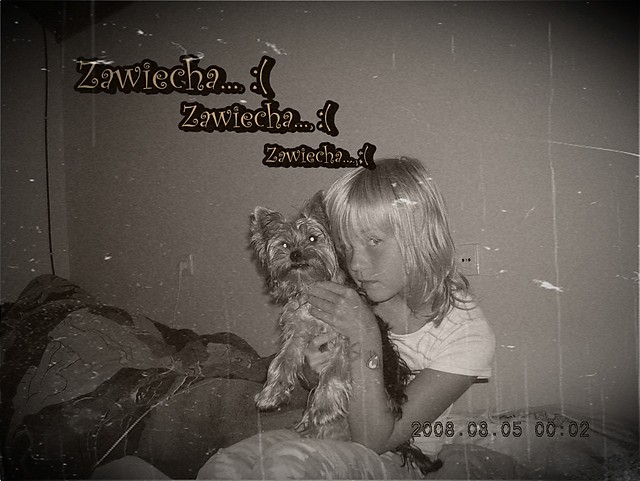 ZAWIECHA...:(