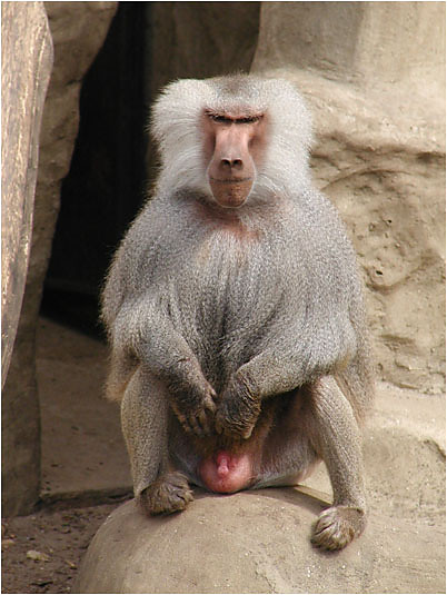 Czy nie wygldam Sexy:P:P:P 