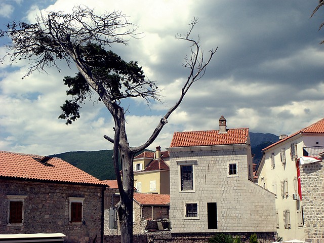 budva