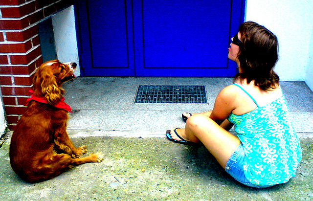 Pieskie ycie ;))