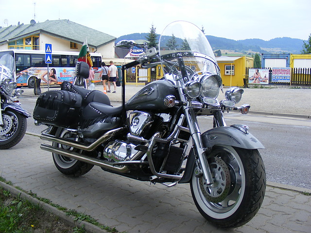 Basenova 2008