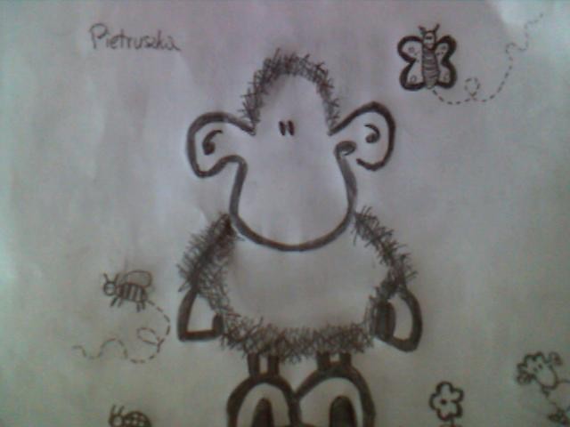 Sheep World