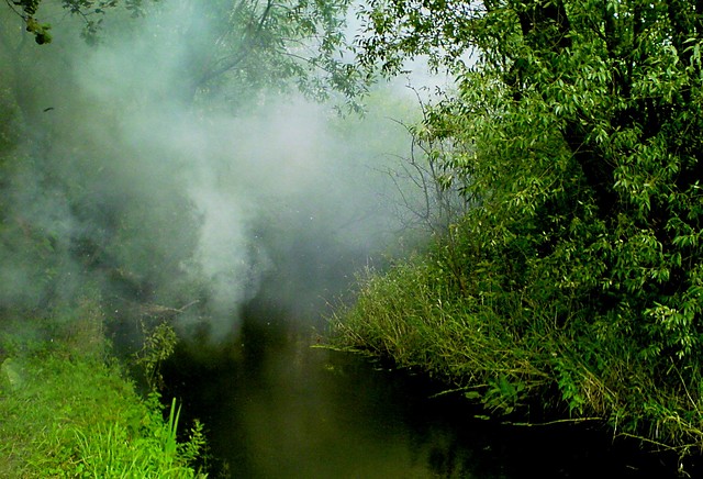 Natura