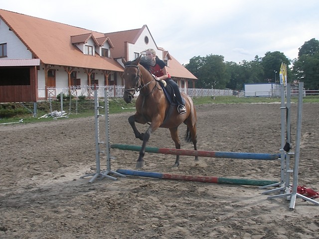 przygoda na grzbiecie konia !