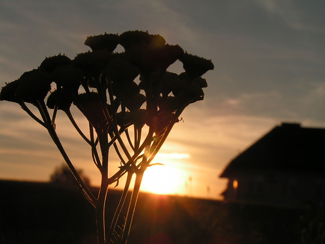 For You ...