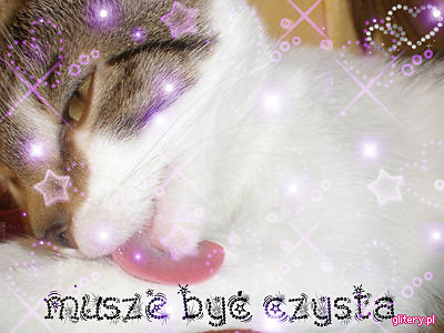 czycioszeQ