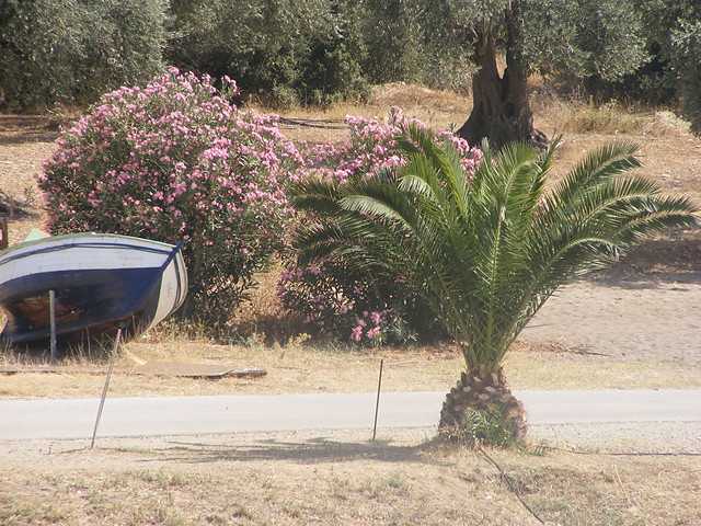 grecja.