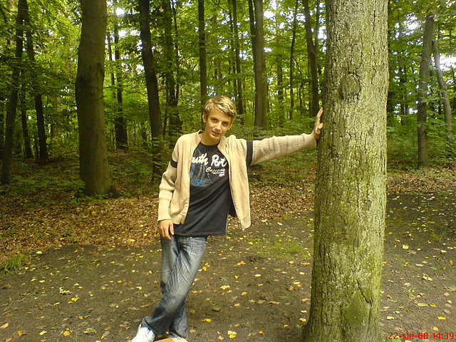 w lasku