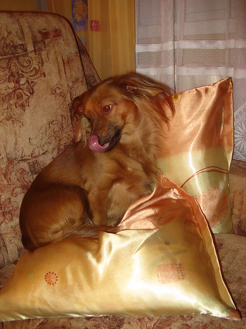 Luka ;**