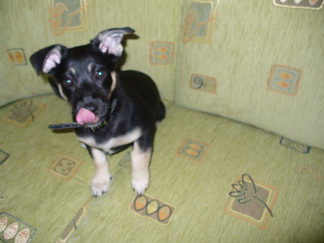 ;P
