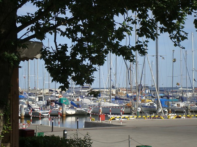 deczki