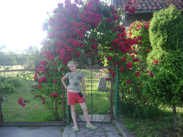 ja w tle r:)