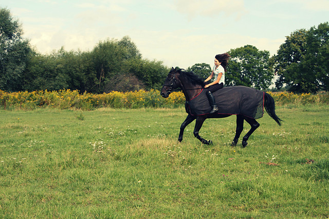 Galopp.. 