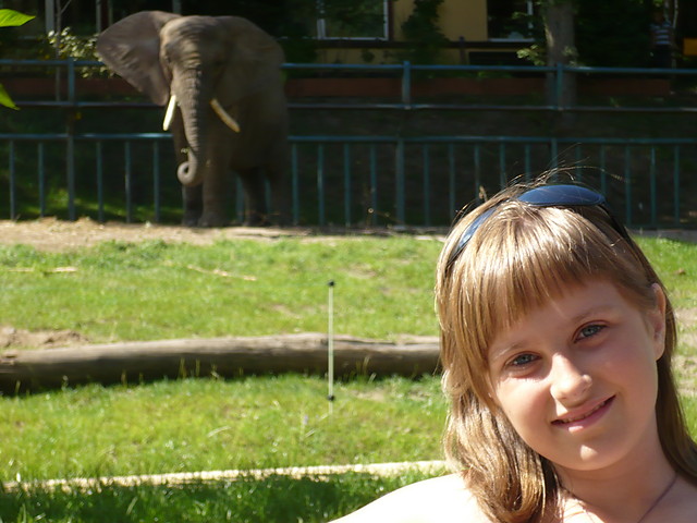 w zoo