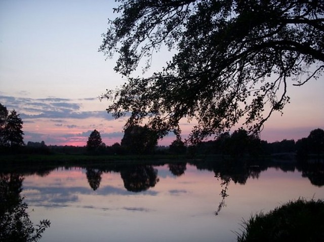 widoczek