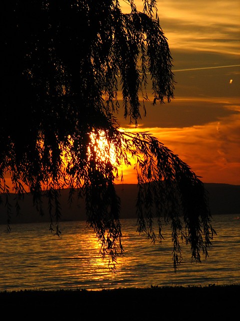 balaton II