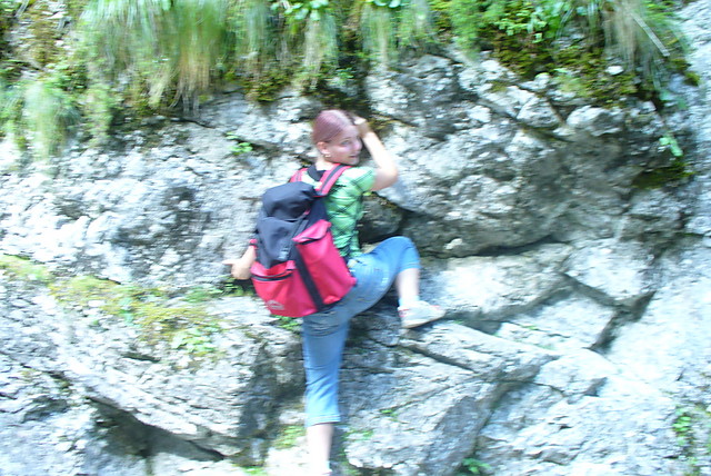 w Dolinie Kocieliskiej 