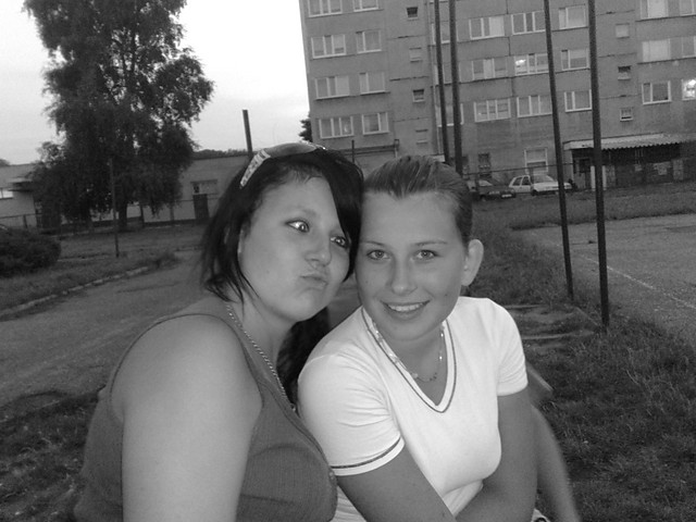 Z sis
