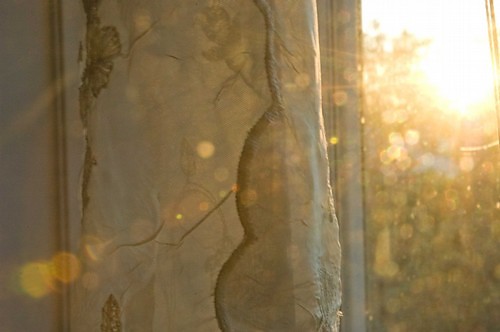 sun