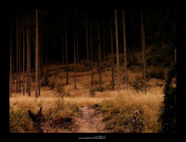 path to somewhere