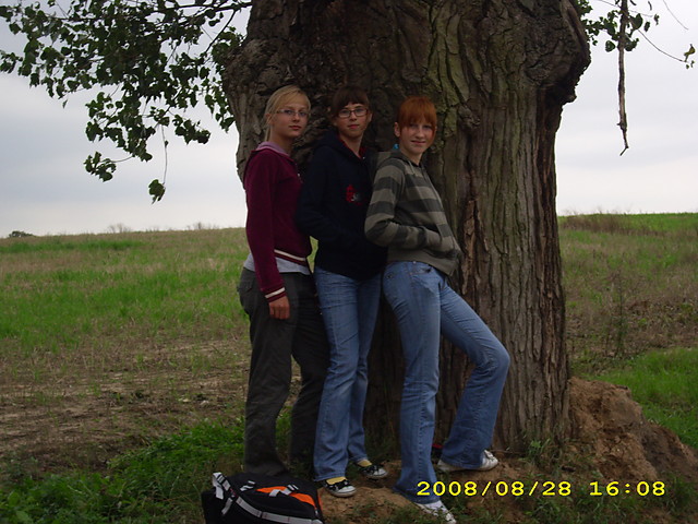 Myyy