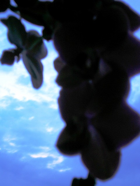 Just like heaven...