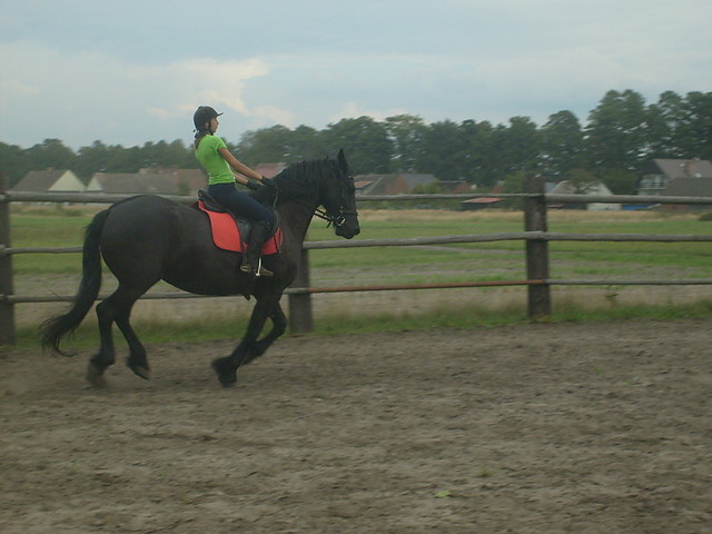 galop