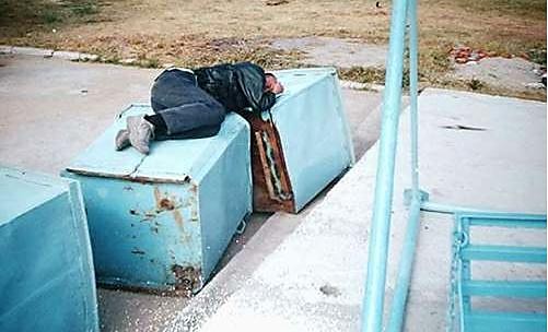 Zenulek