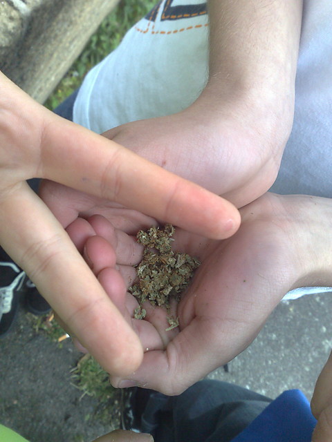 Legalize It !!!!!!!!